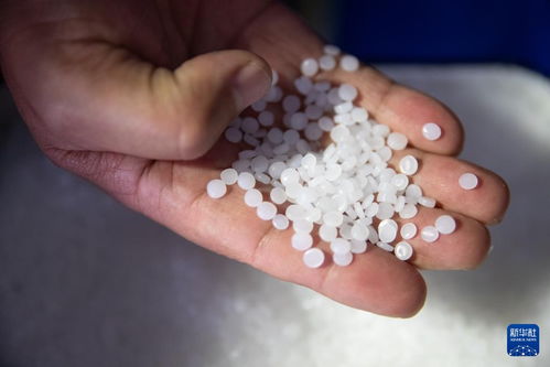 新華全媒 新時代中國調(diào)研行之看區(qū)域 東北篇 東北石化產(chǎn)業(yè) 減油增化 再造產(chǎn)業(yè)新動能